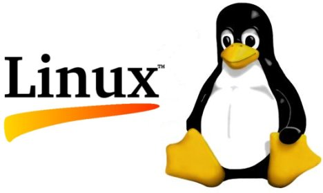 linux.bmp(391770 byte)
